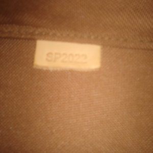 Beautiful Louis Vuitton dog carrier